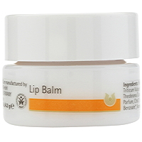 Dr. Hauschka Lip Balm 4,5 ml (Kort datum)